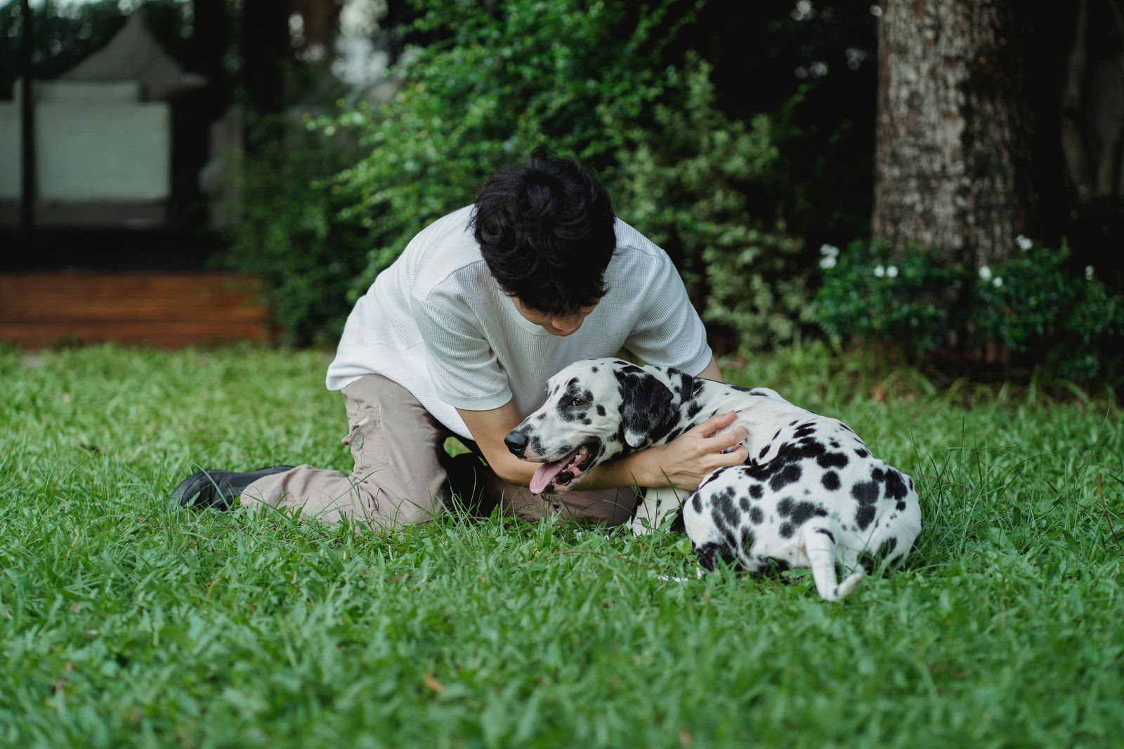 A pet parent spending relaxed time with their dog